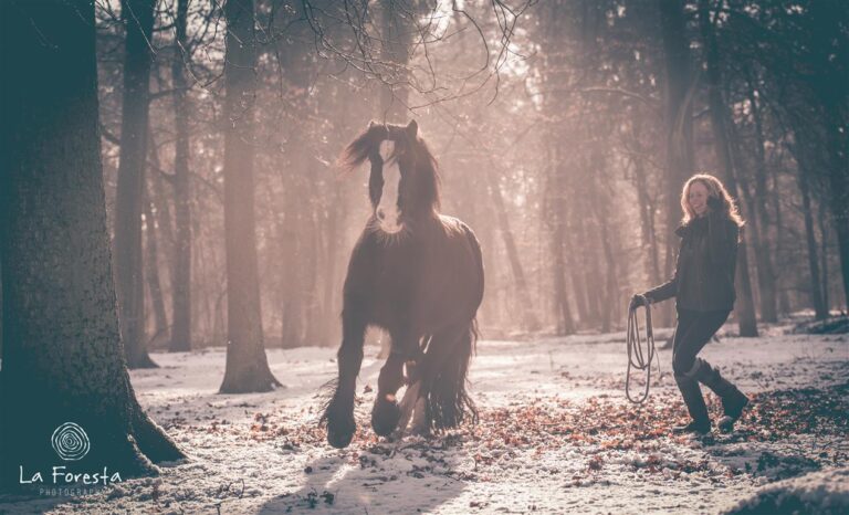 Paardencoach Wendy Van de Velde | Rebels & Heroes