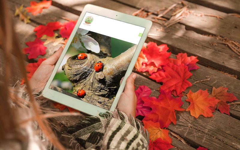 Rebels & Heroes | Aardebloesem Academie